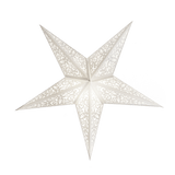 Elegant Floral Paper Star Lantern