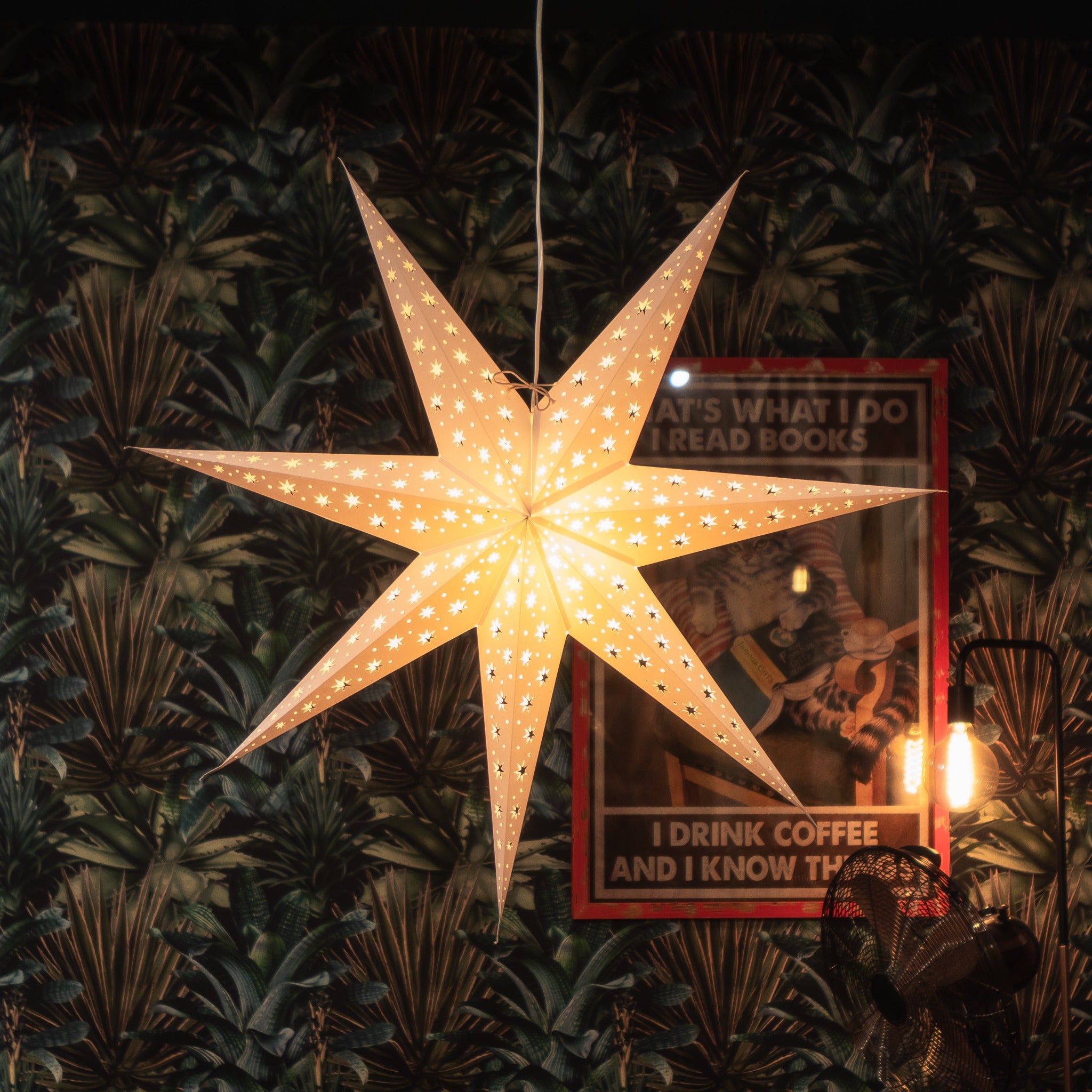 white paper star lantern illuminated