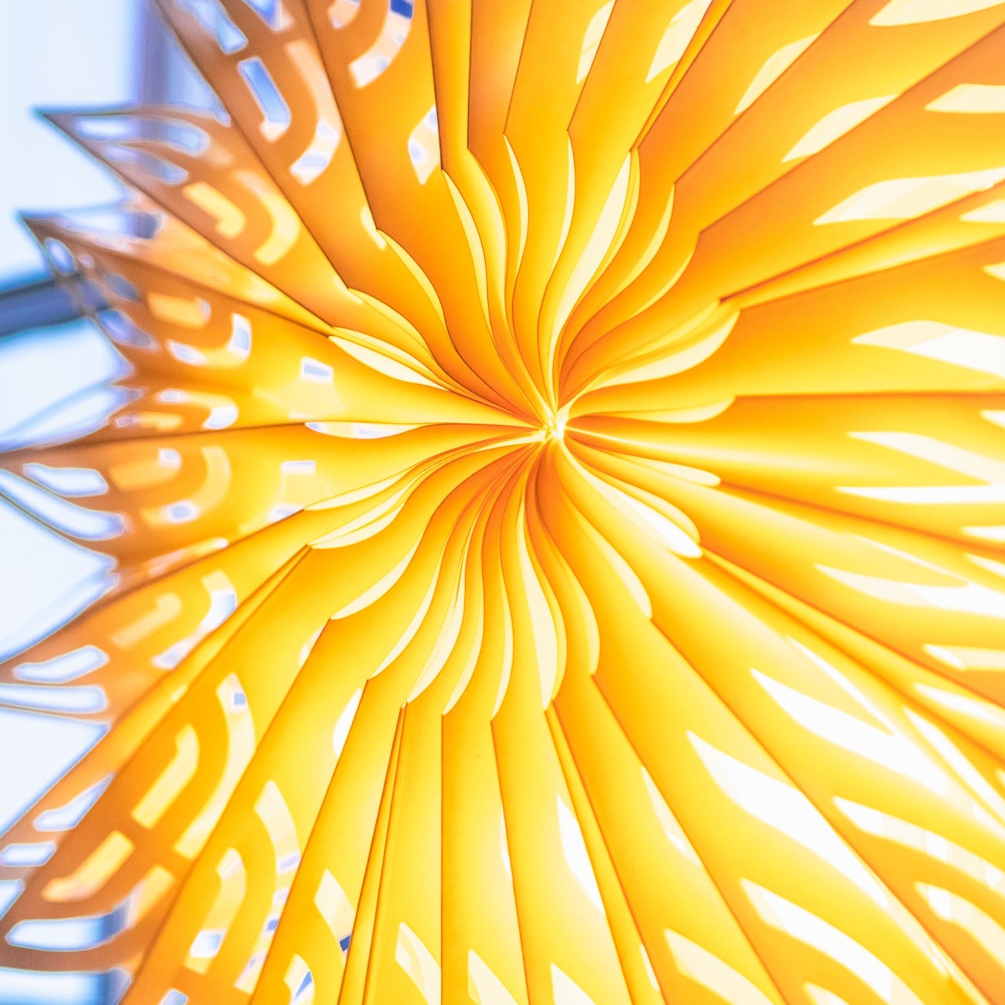 sunrise close up