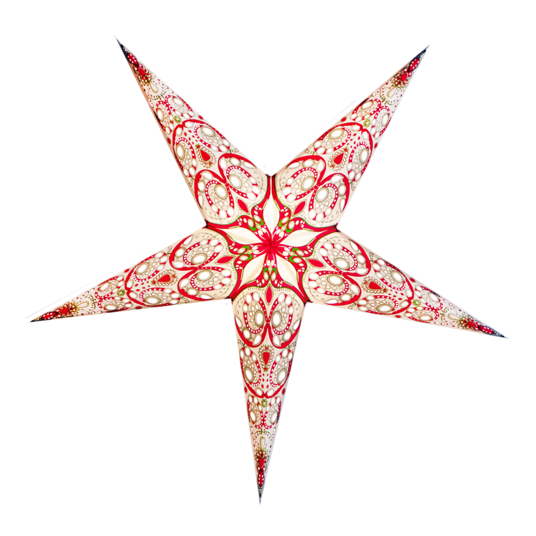 large japanese lily star light