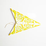pistachio star folded
