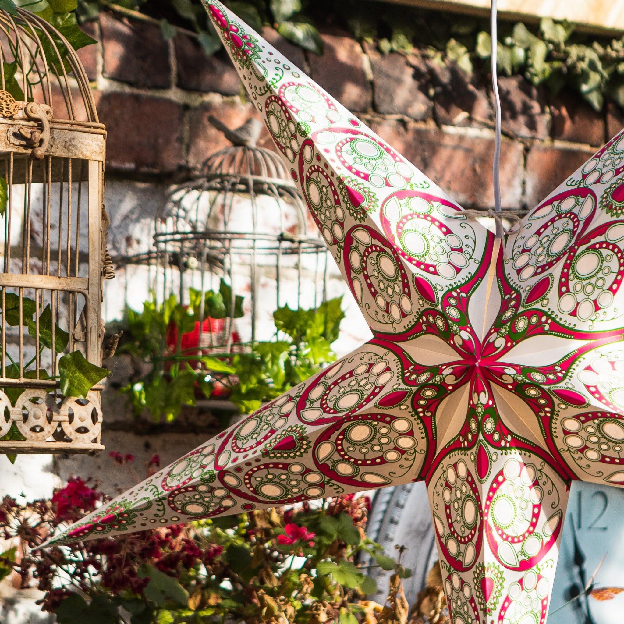 large japanese lily star light