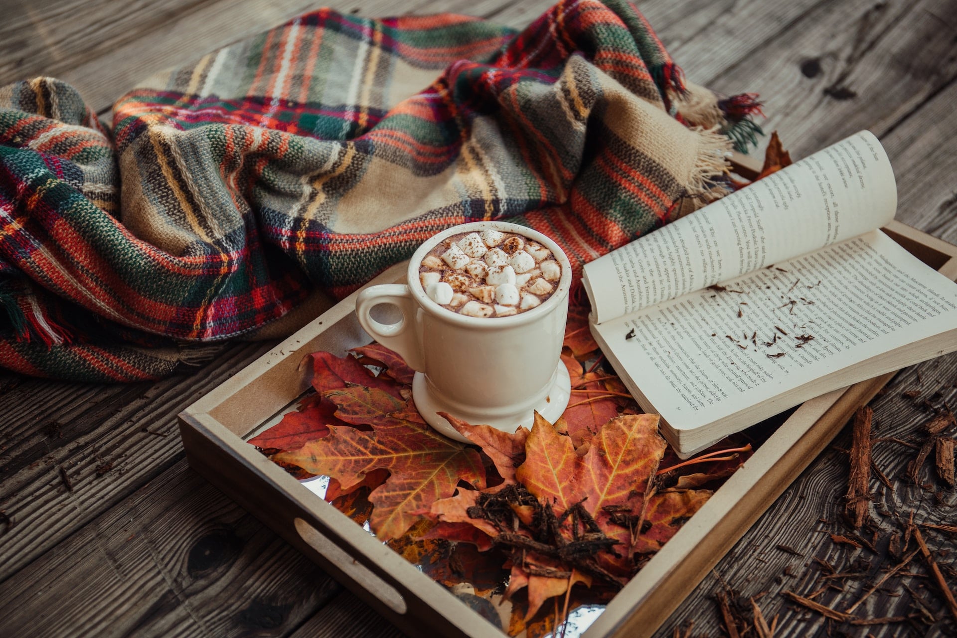 Capturing Autumn Magic: Stylish Decor Ideas from Paper Starlights