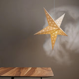 Aster Grey
