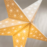 Aster Grey