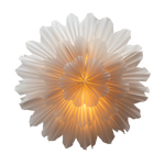 Decorative wall light with a floral design on a white background