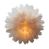 Decorative wall light with a floral design on a white background