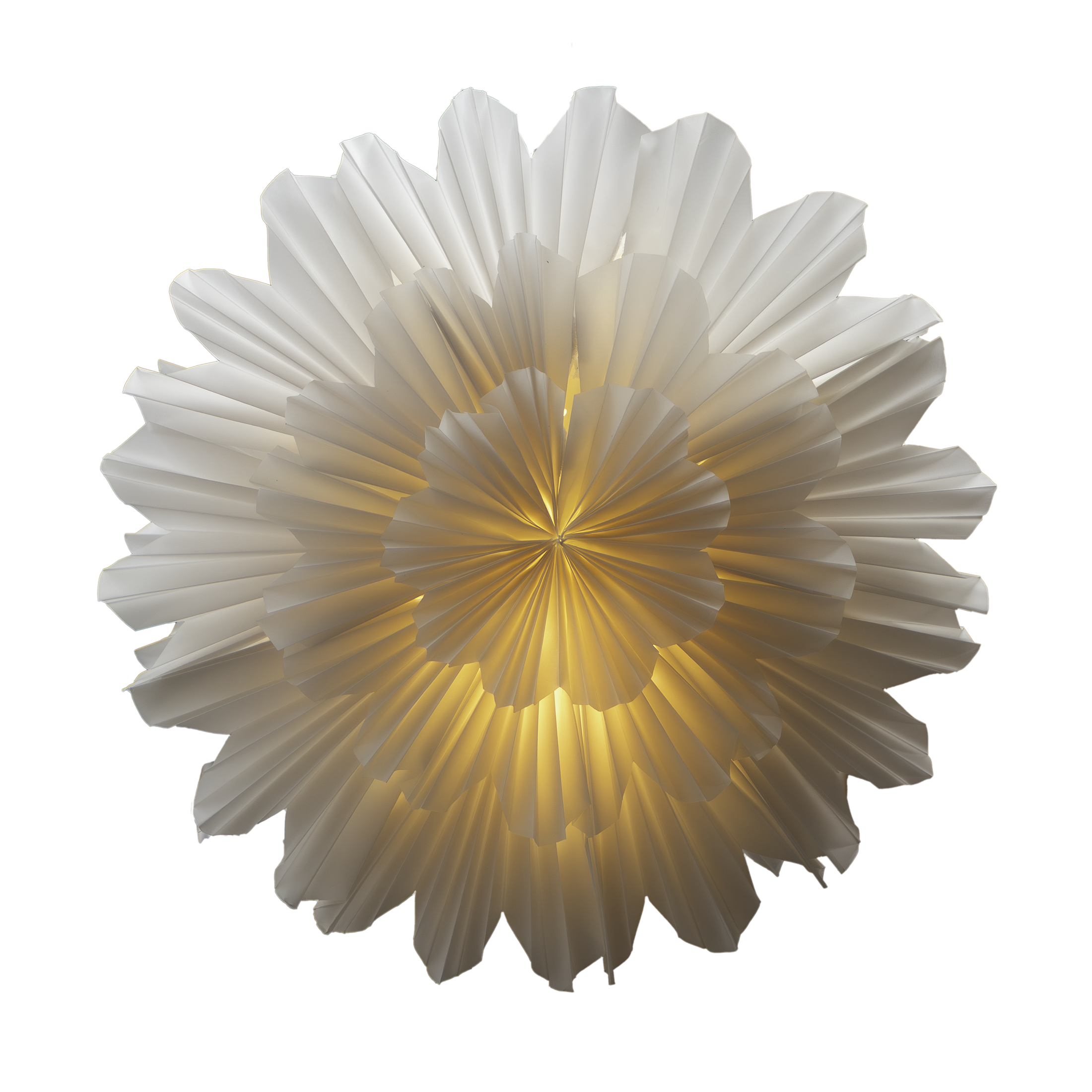 Decorative wall light with a floral design on a white background