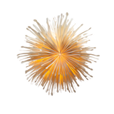 Decorative wall art with radiating gold and beige elements on a white background