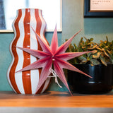 Red Mini Paper Star (25cm)