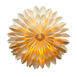 Decorative light fixture shaped like a flower on a white background