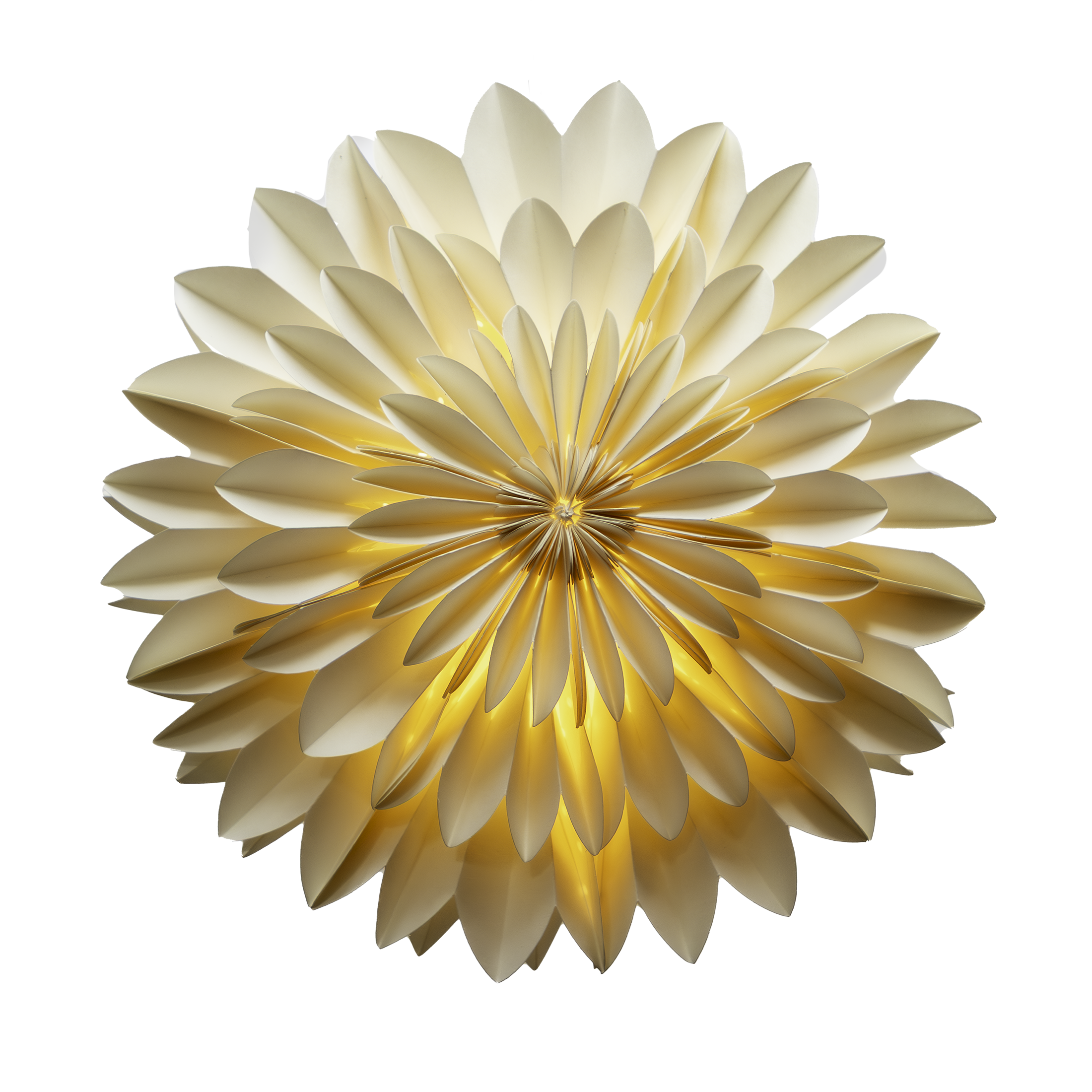 Decorative light fixture shaped like a flower on a white background