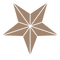 Paper Starlights Brown star graphic