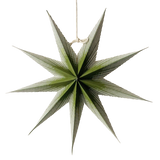 25cm Green Mini Paper Star in the Nordic Christmas star set