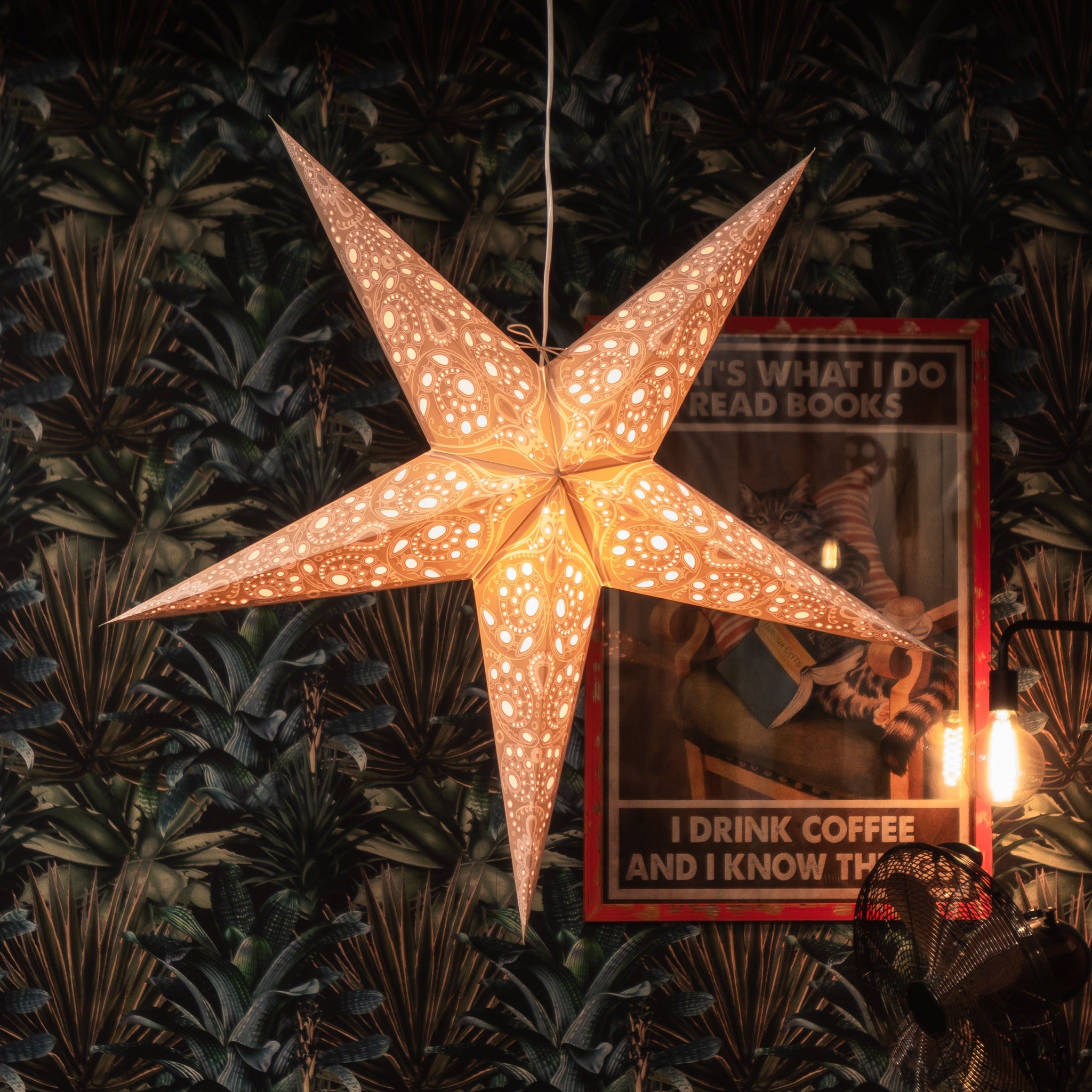 large grey lace pattern paper star lantern illuminated 