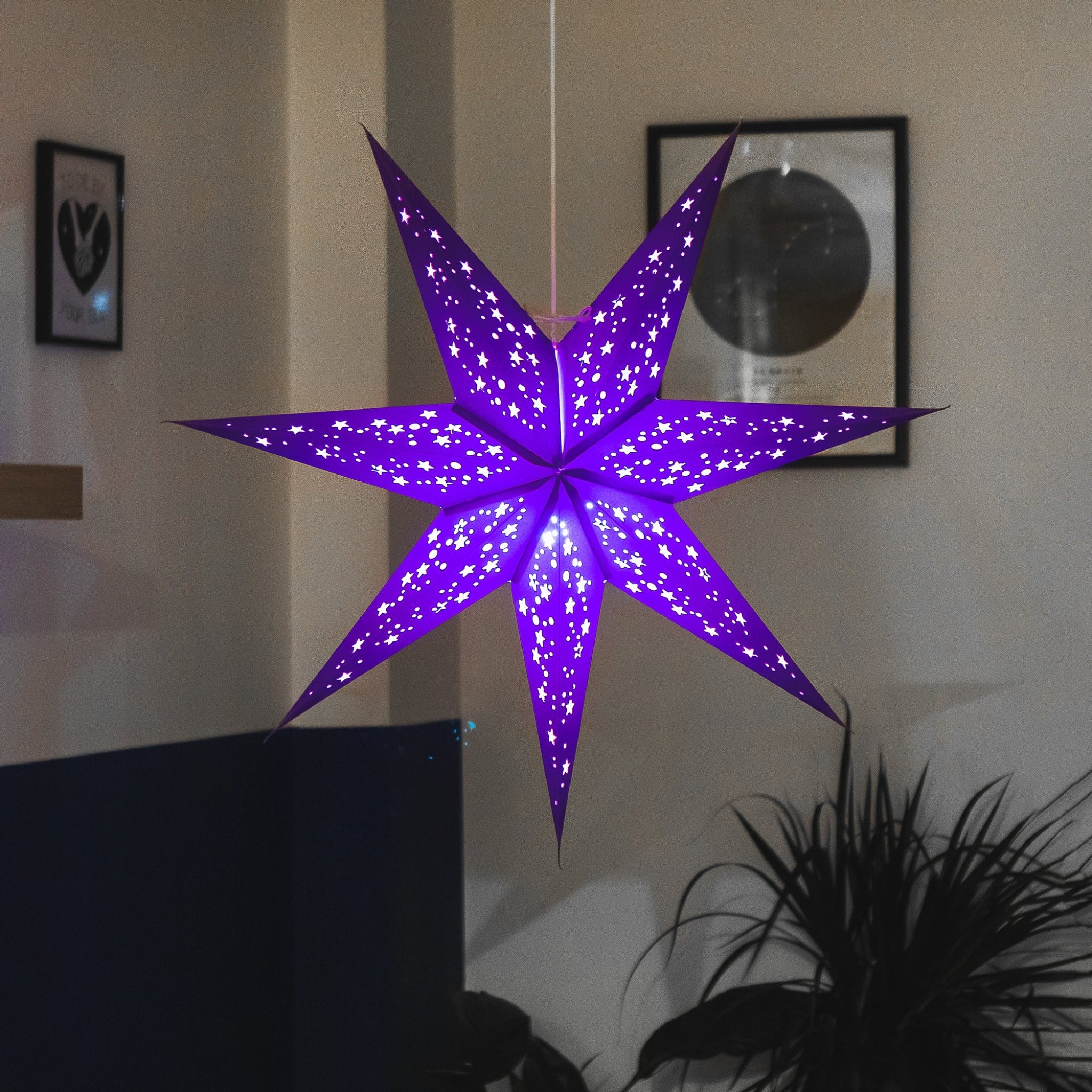 purple star lantern illuminated